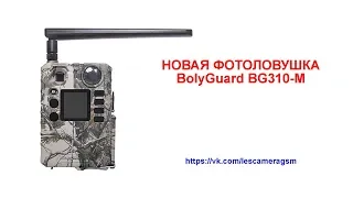 Фотоловушка Bolyguard BG310-М обзор функции.