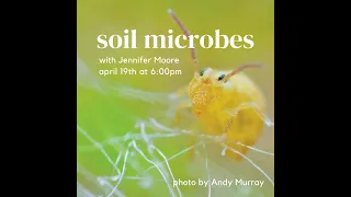 Soil Microbes