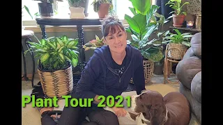 Plant Tour Fall 2021//Living Room🌿