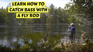 Successfully Fly Fish for Bass