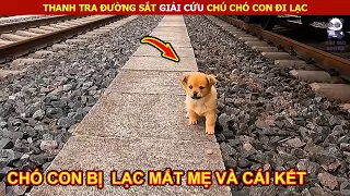 Giải Cứu Chú Chó Con Đáng Thương Bị Lạc || Review Con Người Và Cuộc Sống (P4)