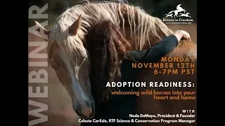 Adoption Readiness: Welcoming Wild Horses into Your Heart and Home