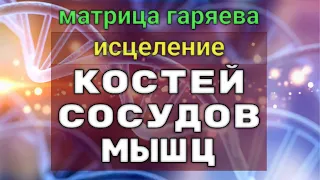 Настоящая Матрица Гаряева_Исцеление Костей, Сосудов, Мышц