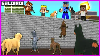 KÖPEK ÇETESİ ORDUSU ŞEHRE SALDIRDI!😱 - Minecraft