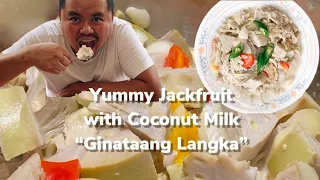 How to cook Filipino Jackfruit Recipe with Coconut Milk | Ginataang Langka