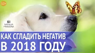 Прогноз на год Собаки: как сгладить негативное влияние года и активизировать помощь. Все по Фен Шуй