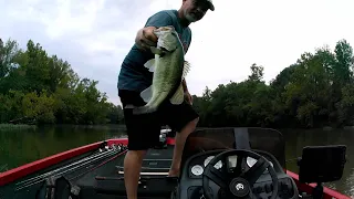 Late Aug. 2023 Bass Fishing Old Hickory Lake