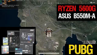 Amd Ryzen 5 5600G PUBG game test - Asus Prime B550M-A - 5600g fps PUBG - 32GB ddr4 - budget build