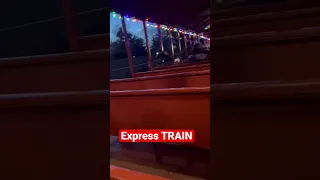 Express Train #railway #train #buschgardens #railroadcrossing #trainride #youtubeshorts #shorts