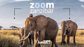 ZOOM Zanzibar разом з Join UP!