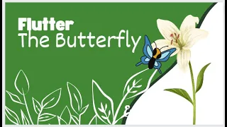 Wonderful journey of Flutter The Butterfly story