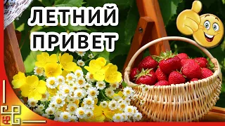 Летний приветик тебе от меня. Я желаю тебе бесконечного лета! Позитив для друзей