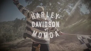 H-D X Jason Momoa Collection | Harley-Davidson