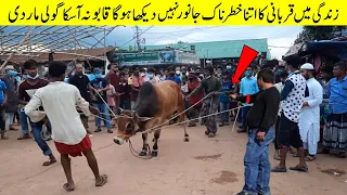 If You Bring Such an Animal for Eid | Eid ul Adha Videos