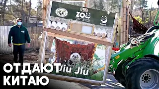 Семью из пяти панд отправили из Мадридского зоопарка обратно в Китай