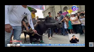 San Isidro Labrador (Kneeling Carabao) May 14, 2023