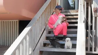 Paris Hilton's Home Activities: Malibu Quarantine Edition