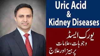 Uric Acid and Kidney Diseases