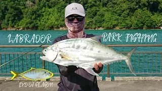 Labrador Park Jetty Fishing