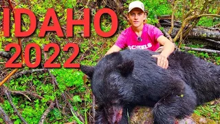 Idaho Backcountry Bear Hunt, 2022. Idaho Spring Bear Hunting.