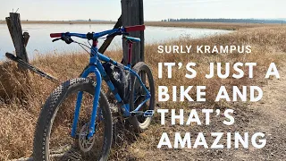 The Pandemic Build - Custom Surly Krampus Review