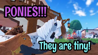 PONIES ARE HERE! NEW UPDATE!! Everything you need to know! -Horse Life