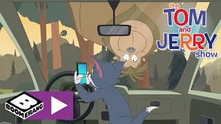 Tom i Jerry Show | Cała robota na nic | Cartoonito