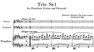 Johannes Brahms - Piano Trio No. 1 in B Major, Op. 8 [REUPLOAD]