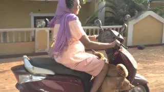 индийские собаки
