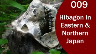 Hibagon 101: 009 Hibagon, Japanese Bigfoot, in Eastern & Northern Japan