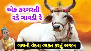 ⭐ એક કરગરતી રડે ગાવડી રે ⭐gay mata nu geet (Gujarati kirtan) #bhajan #kirtan #satsang