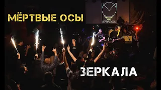 Мёртвые Осы  - Зеркала (концертный клип 2020)