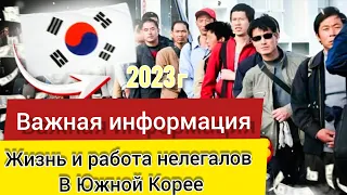 Жизнь нелегалов в Южной Корее | Работа в Корее 2023 год