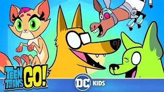 Teen Titans Go! Россия | Животные импульсы | DC Kids