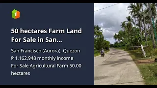 50 hectares Farm Land For Sale in San Francisco Quezon Direct Owner