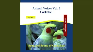 Animal Voices Vol. 2 Cockatiel - Song and Sound of Cockatiels