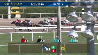 Gulfstream Park Carrera 4 - 21 de Febrero  2019