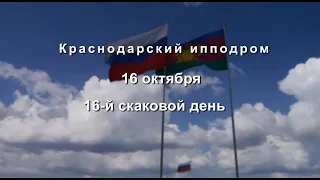 Видео 16 скаковой день   16 10 2021г  Краснодарский ипподром