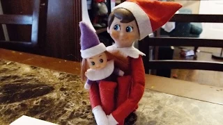 BABY Elf on the Shelf! Serafina Snow!