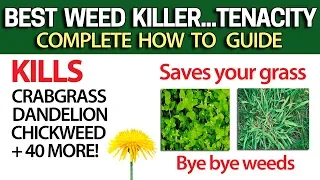 Kill Weeds Crabgrass + 40 more & NOT your Grass with Tenacity - DIY