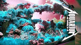Секрет фильтрации аквариума ✪ БиоМонстры внешних фильтров