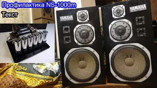 Профилактика фильтра Yamaha ns-1000