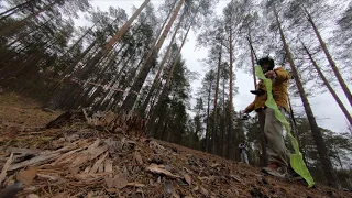 FPV racing in the fir forest  FPV гонки в сосновом лесу