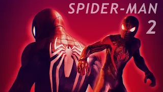 The Potentially Spectacular Spider-Man 2