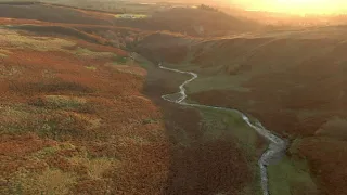 Castle Campbell, Dollar Glen 19/11/20