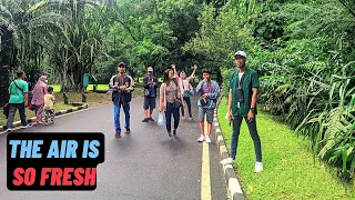 Walking Around the village | Go to Bogor Botanical Gardens "Kebon Raya Bogor#1"