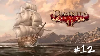 Divinity: Original Sin 2 - кооперативное прохождение #12 Аркс