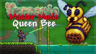 How To Defeat Queen Bee In Terraria Master Mode