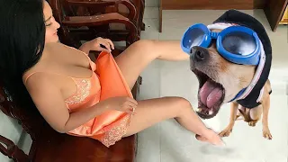 Funniest Animals Videos 2022🐴Best cats😹 and dogs🐶 videos [COMPILATION #55] 😁🙈 !