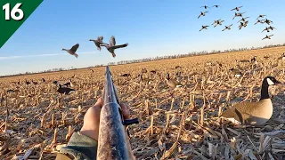 Solo DUCK HUNTING In A PUBLIC FIELD (Unexpected Mixed Bag!)